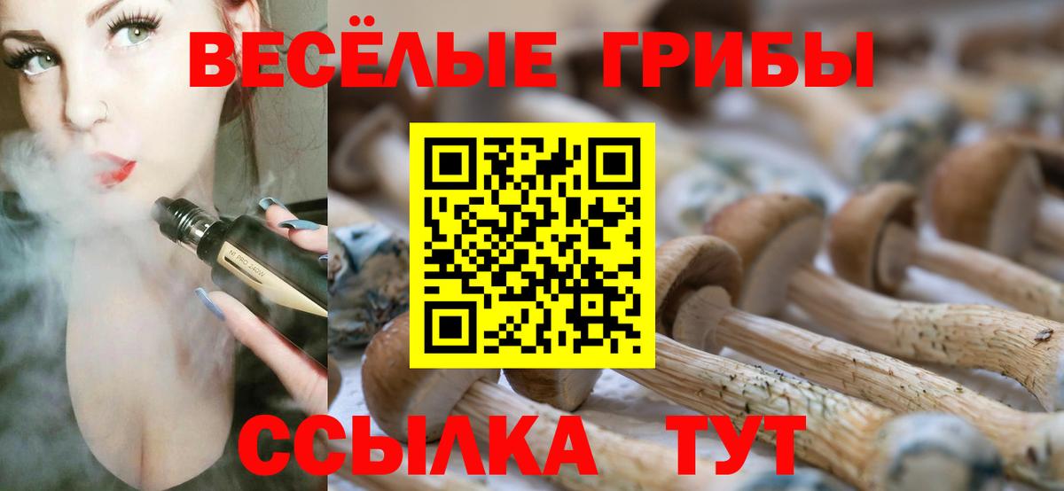 Галлюциногенные грибы Psilocybine cubensis  Вход с VPN  Новоуральск 